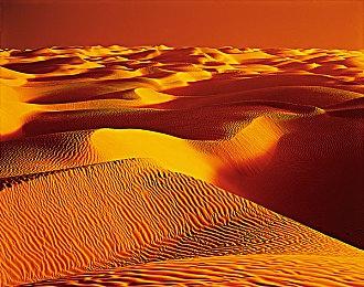 玩家不满《深海迷航2》实时服务模式 开发商出面解释