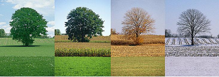 Steam在线人数创新高 超3836万+玩家在线