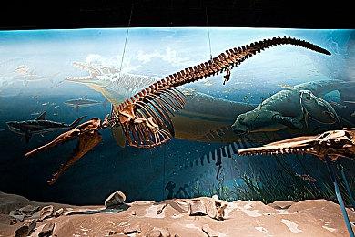 《狂野之心》PC不能玩？这招让你迅速提升帧数