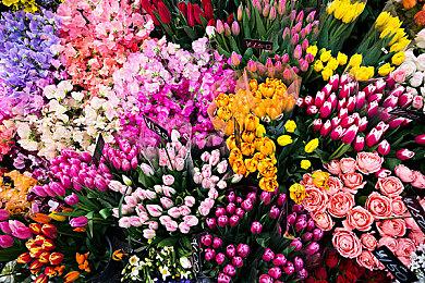 《地球防卫军6》4月29日公布重要消息 年内登陆PS4＆PS5